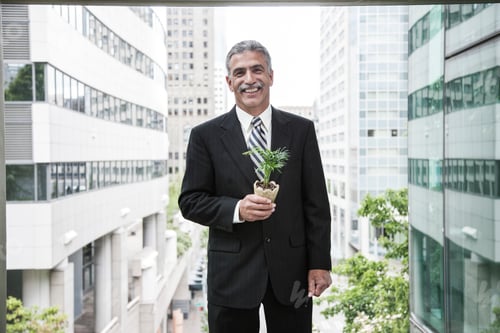 Preview: A businessman holding a small plant while stanidng next to a a large convention center window.
