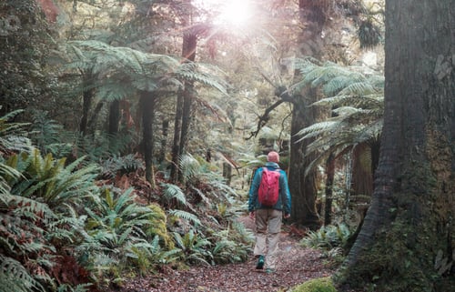 Preview: Tramping