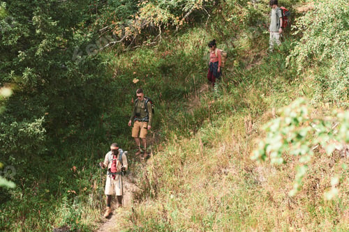 Preview: People moving down hill