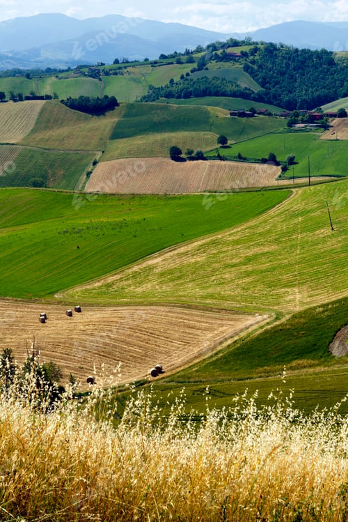 Preview: Rural landscape near Salsomaggiore and Fornovo, Parma, at springtime