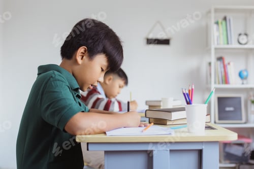 Preview: Elementary student study at school