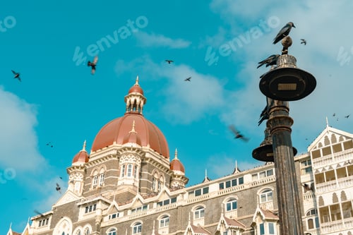Preview: birds flying in front of a building with many windows and a dome