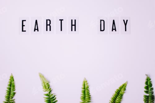 Preview: Earth day , Fern leaves with copy space , green leaves background , ecology ,