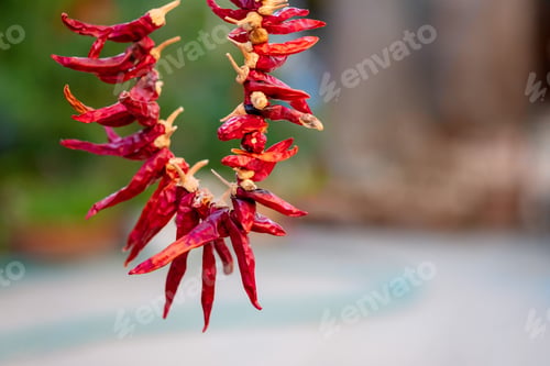 Preview: Dried red hot chili peppers hanging on a string