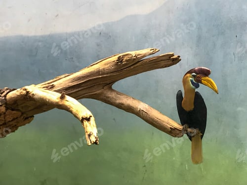 Preview: Parrot perched on branch by water and wall