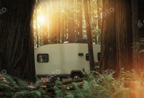 Preview: Travel Trailer RV Camping in the Redwood