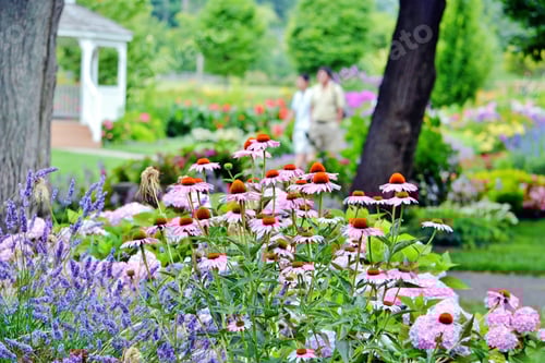 Preview: Beautiful garden