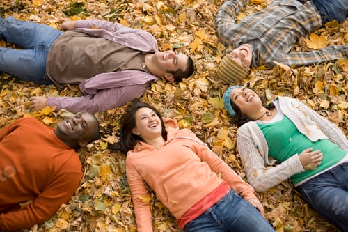 Preview: A group of men and women lying on their backs among the autumn leaves.