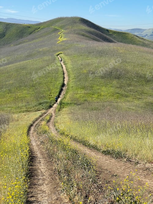 Preview: Winding trail