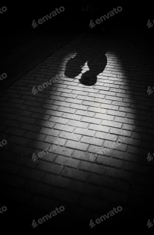 Preview: Shadows of couple in love on a walk in the city on sunny day. Man and women looking on each other