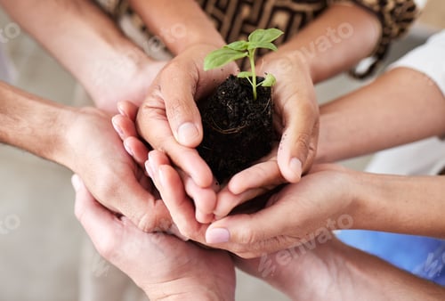 Preview: Green economy, sustainability plant hands and global growth of teamwork with hope, help and trust f