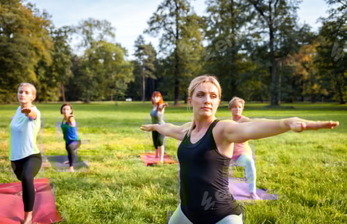 Preview: Mixed age group of people practicing yoga outside in the park
