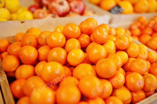 Preview: Colorful shiny fresh fruits