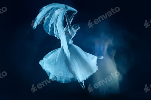 Preview: photo as art - a sensual and emotional dance of beautiful ballerina through the veil