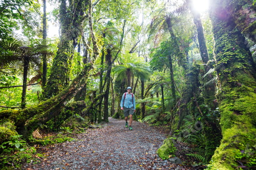 Preview: Tramping