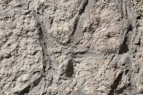 Preview: Abstract Bumpy Texture Of A Stone Wall For Backgrounds And For Wallpaper
