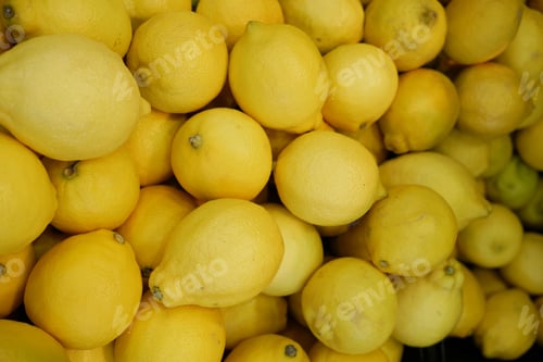 Preview: Yellow Lemon display for sale at local store top view
