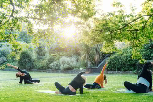 Preview: Female yoga class in park. Group of diverse women doing stretching pose exercising together