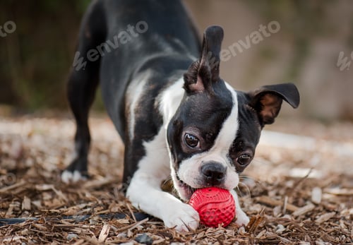 Preview: Play Time
