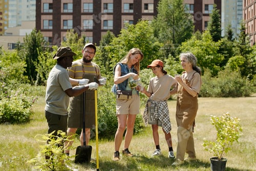 Preview: Diverse Group of Adults and Teenager Planting Tree Together Outdoors