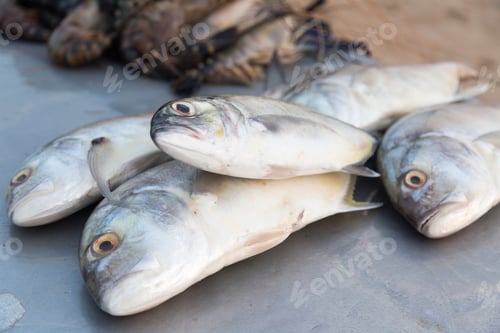 Preview: Fresh seafood