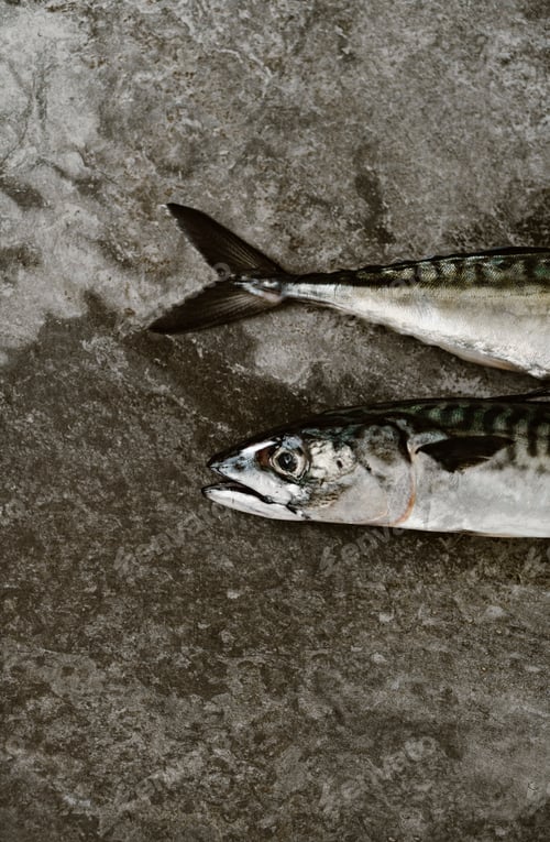Preview: Fresh fish with delicious chopped seasoning ready for tasty cooking on dark background, top view
