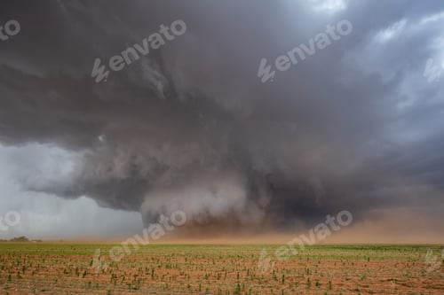 Preview: A Monster Wedge Tornado near Morton, clouds gathering in the sky above fields in a flat landscape.
