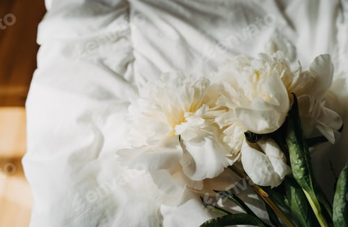Preview: Bouquet of white peony flowers on white bad in sun light