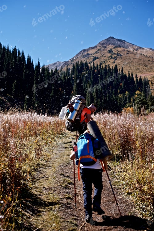 Preview: Family hiking in the autumn blooming Sally field in the Mountains