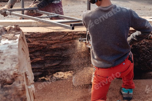 Preview: Closeup of lumberjack cutting tree trunk with giant chainsaw to make wooden planks