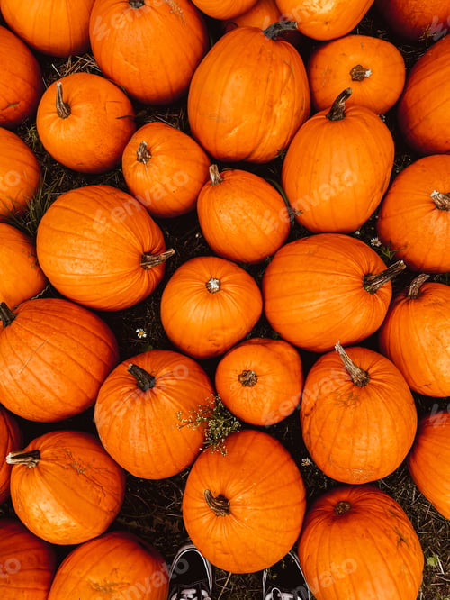 Preview: Pumpkins