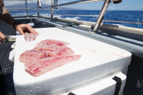 Preview: Fresh cut fish on an ocean charter boat