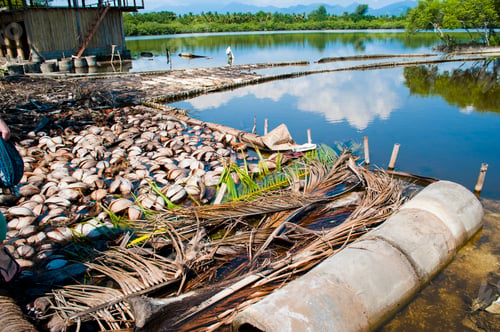 Preview: Path Across the Inland Lagoon on Gili Meno, Indonesia, Asia