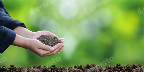Preview: A farmer's expert hands check soil health before growing vegetable seeds or plant seedlings.