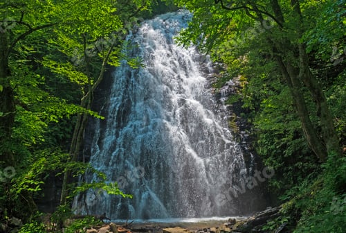 Preview: Dramatic Falls Hidden in the Forest