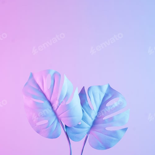 Preview: surreal tropical monstera leaves in neon lighting as concept of retro futurism and copy space