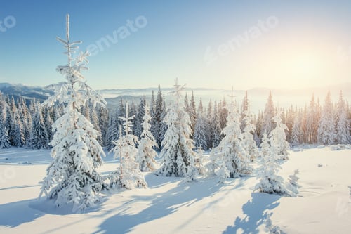 Preview: Fantastic winter landscape in the mountains of Ukraine