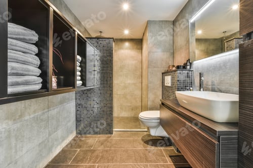 Preview: Toilet and shower in bathroom
