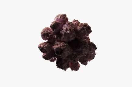 Partícula viral con gránulos superficiales