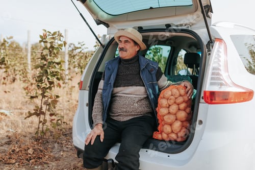 Visualização: Triunfa tangível: fazendeiro idoso admirando sua colheita no porta-malas do carro