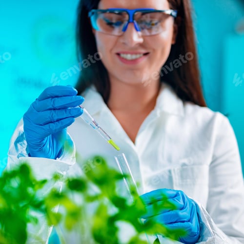 Preview: Biologist doing experiments with plants