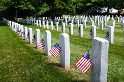 Preview: Flags in Veteran Cemetery on Memorial Day