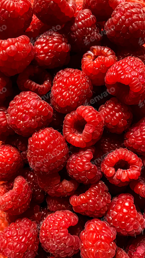 Close Up of Fresh Red Raspberries