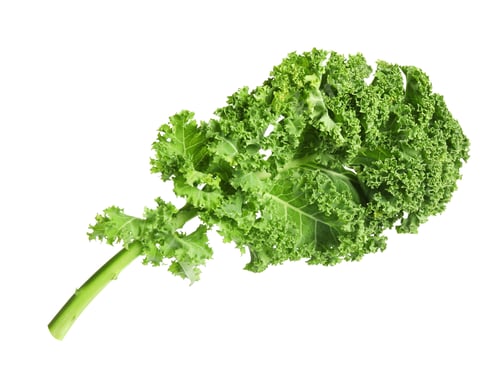 Preview: Fresh green kale leaf isolated on white