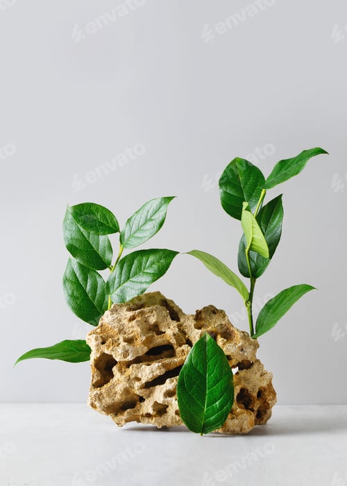 Preview: Stone podium mock up with fresh greenleaves, mock up for product cosmetic
