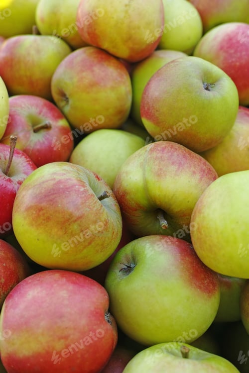 Preview: Fresh apples in natural setting