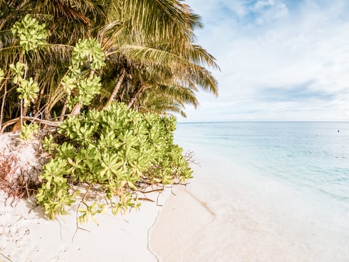 Preview: amazing tropical beach background white sand and clear blue water