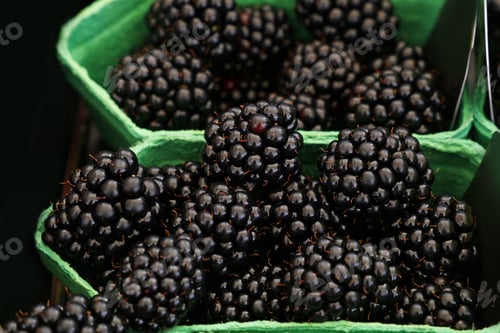 Preview: Close up fresh blackberry on retail display
