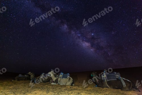 Preview: Astrophotography with camels in foreground and milky way behind in Sahara desert Morocco