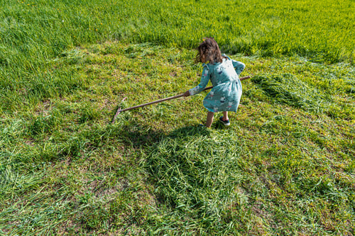 Preview: Female child in a turquoise dress raking freshly cut grass.